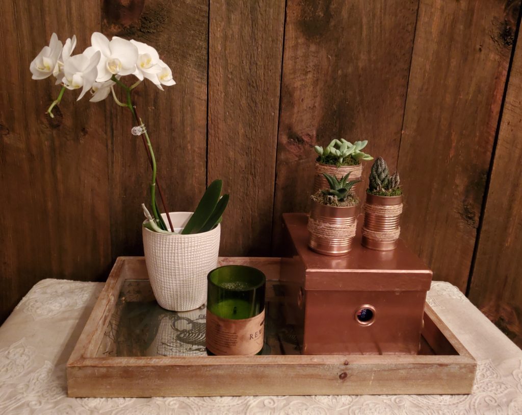 DIY craft repurposing box with DIY succulents in cans