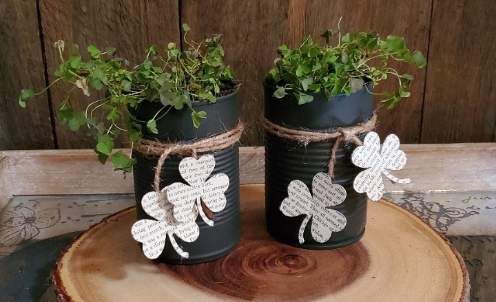 Saint Patrick's Day DIY tin cans as planters for clover