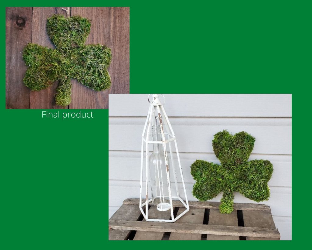 Final Saint Patrick's DIY clover covered in moss