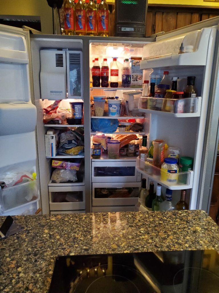Refrigerator before the clean