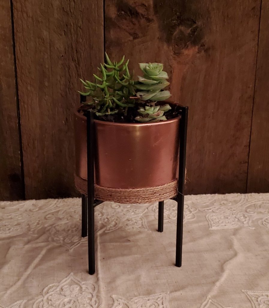 succulent plants in a planter