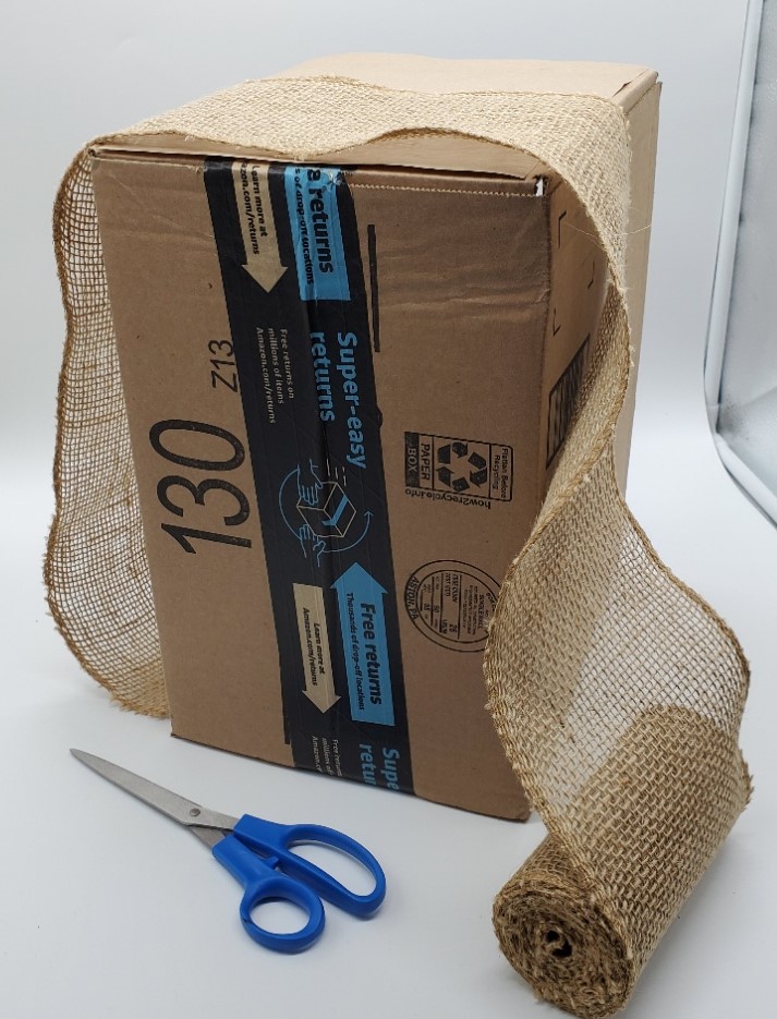 cardboard box with ribbon